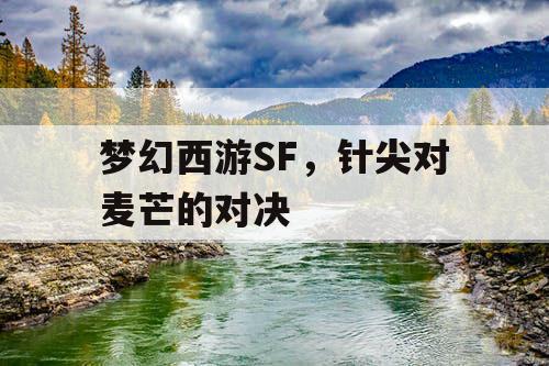 梦幻西游SF，针尖对麦芒的对决