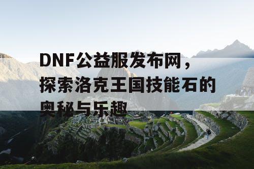 DNF公益服发布网，探索洛克王国技能石的奥秘与乐趣