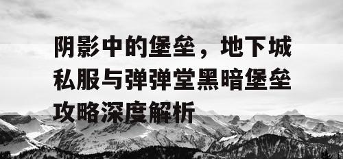 阴影中的堡垒，地下城私服与弹弹堂黑暗堡垒攻略深度解析
