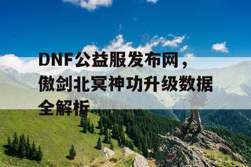 DNF公益服发布网，傲剑北冥神功升级数据全解析