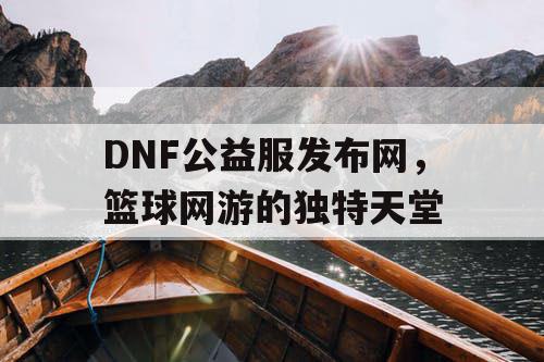 DNF公益服发布网，篮球网游的独特天堂
