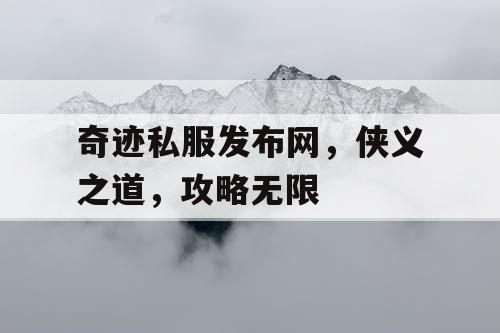 奇迹私服发布网，侠义之道，攻略无限