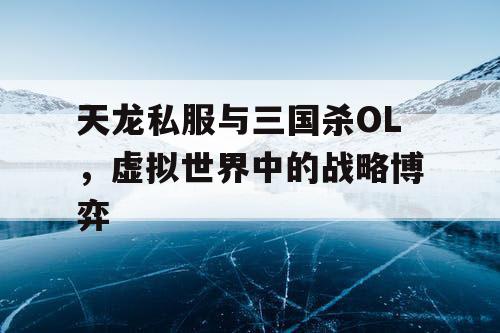 天龙私服与三国杀OL，虚拟世界中的战略博弈