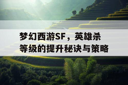 梦幻西游SF，英雄杀等级的提升秘诀与策略