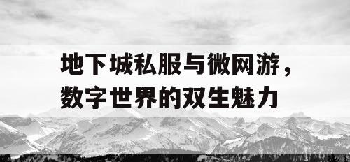地下城私服与微网游，数字世界的双生魅力