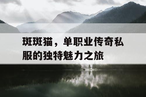 斑斑猫，单职业传奇私服的独特魅力之旅