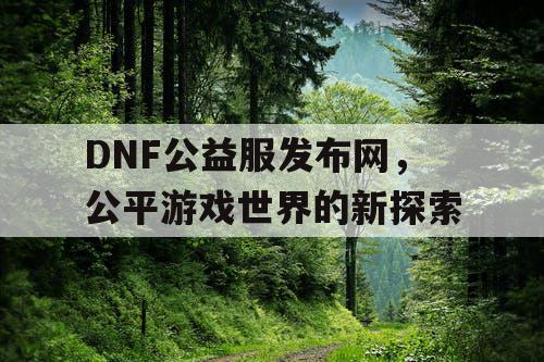 DNF公益服发布网，公平游戏世界的新探索