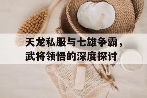 天龙私服与七雄争霸，武将领悟的深度探讨