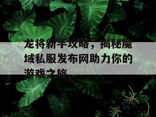 龙将新手攻略，揭秘魔域私服发布网助力你的游戏之旅