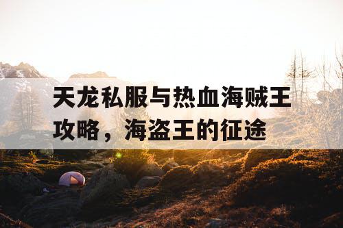 天龙私服与热血海贼王攻略，海盗王的征途