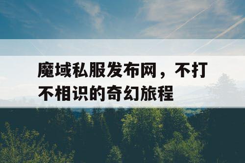魔域私服发布网，不打不相识的奇幻旅程