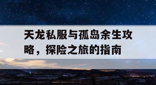 天龙私服与孤岛余生攻略，探险之旅的指南