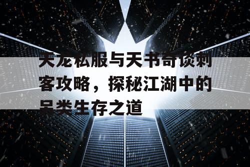 天龙私服与天书奇谈刺客攻略，探秘江湖中的另类生存之道