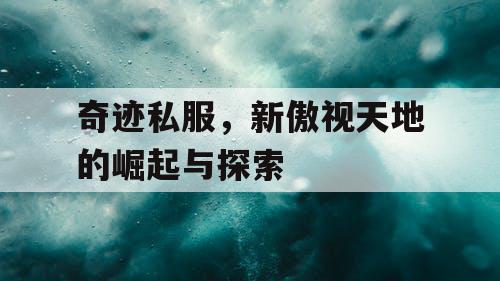 奇迹私服，新傲视天地的崛起与探索