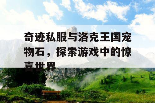 奇迹私服与洛克王国宠物石，探索游戏中的惊喜世界