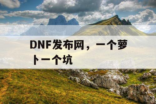 DNF发布网，一个萝卜一个坑