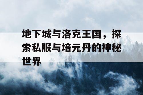 地下城与洛克王国，探索私服与培元丹的神秘世界