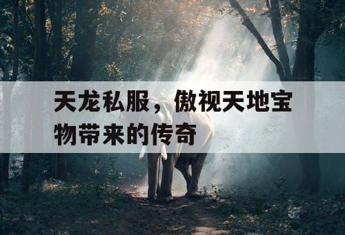 天龙私服，傲视天地宝物带来的传奇