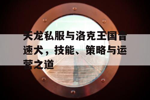 天龙私服与洛克王国音速犬，技能、策略与运营之道