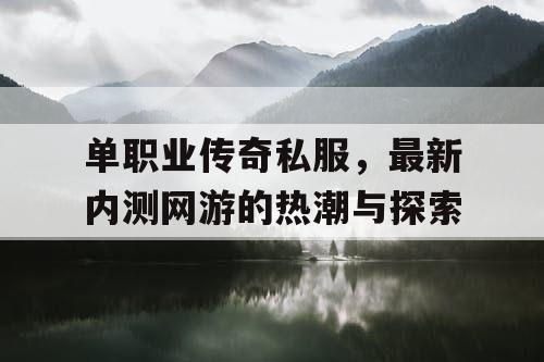单职业传奇私服，最新内测网游的热潮与探索