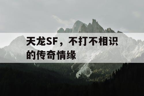 天龙SF，不打不相识的传奇情缘