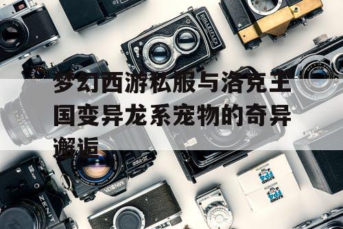 梦幻西游私服与洛克王国变异龙系宠物的奇异邂逅 梦幻西游私服与洛克王国变异龙系宠物的奇异邂逅