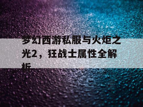 梦幻西游私服与火炬之光2，狂战士属性全解析