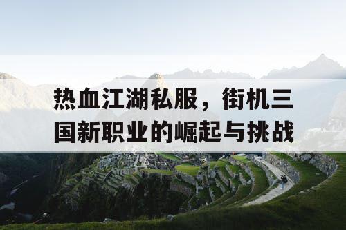 热血江湖私服,街机三国新职业的崛起与挑战 热血江湖私服,街机三国新职业的崛起与挑战