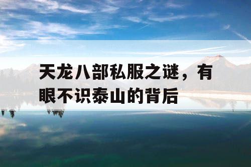 天龙八部私服之谜,有眼不识泰山的背后 天龙八部私服之谜,有眼不识泰山的背后
