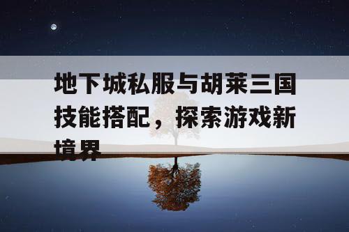 地下城私服与胡莱三国技能搭配,探索游戏新境界 地下城私服与胡莱三国技能搭配,探索游戏新境界
