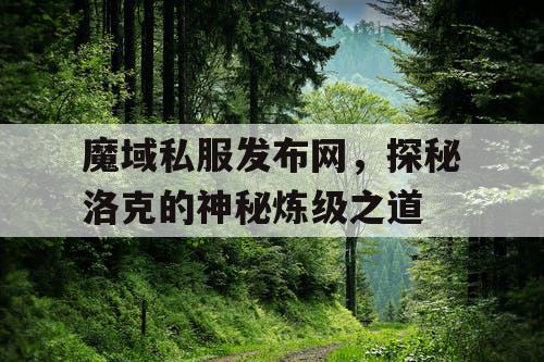 魔域私服发布网，探秘洛克的神秘炼级之道