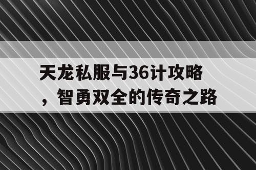 天龙私服与36计攻略，智勇双全的传奇之路