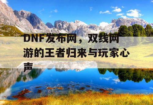 DNF发布网，双线网游的王者归来与玩家心声