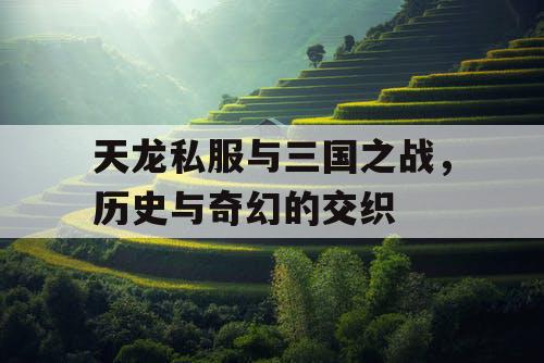 天龙私服与三国之战，历史与奇幻的交织
