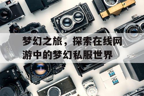 梦幻之旅，探索在线网游中的梦幻私服世界
