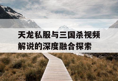 天龙私服与三国杀视频解说的深度融合探索