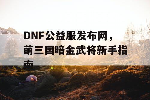 DNF公益服发布网，萌三国暗金武将新手指南
