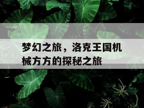 梦幻之旅，洛克王国机械方方的探秘之旅