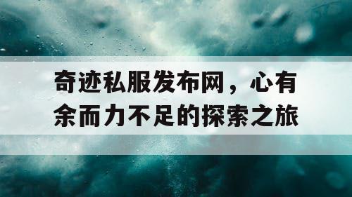 奇迹私服发布网，心有余而力不足的探索之旅