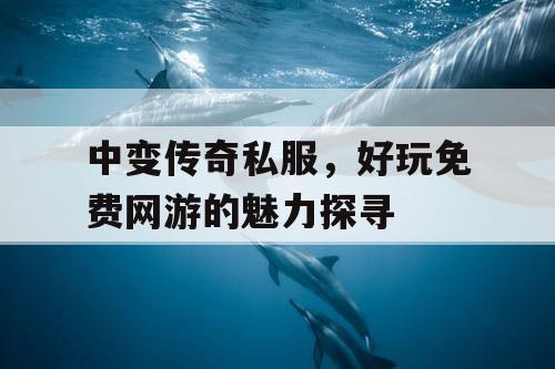 中变传奇私服，好玩免费网游的魅力探寻