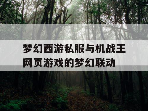 梦幻西游私服与机战王网页游戏的梦幻联动 梦幻西游私服与机战王网页游戏的梦幻联动