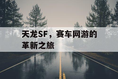 天龙SF,赛车网游的革新之旅 天龙SF,赛车网游的革新之旅
