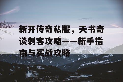 新开传奇私服，天书奇谈刺客攻略——新手指南与实战攻略