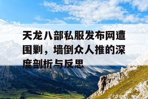 天龙八部私服发布网遭围剿，墙倒众人推的深度剖析与反思