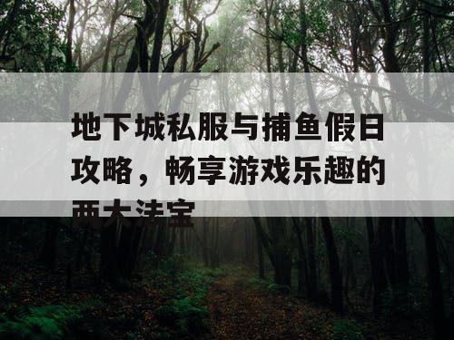 地下城私服与捕鱼假日攻略，畅享游戏乐趣的两大法宝