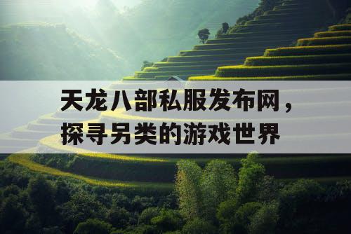 天龙八部私服发布网，探寻另类的游戏世界