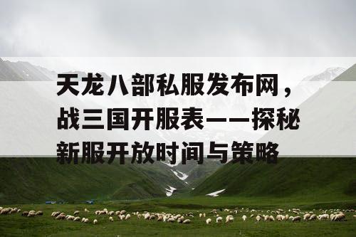 天龙八部私服发布网，战三国开服表——探秘新服开放时间与策略