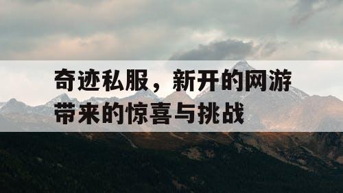 奇迹私服，新开的网游带来的惊喜与挑战