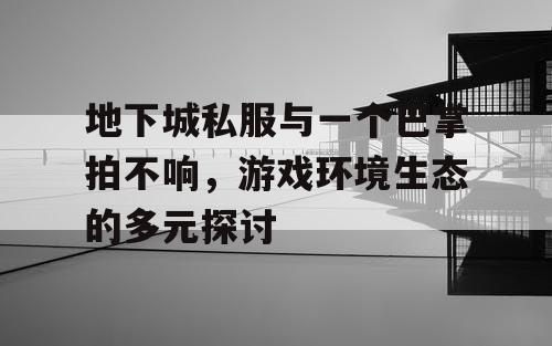 地下城私服与一个巴掌拍不响，游戏环境生态的多元探讨