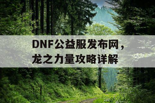 DNF公益服发布网，龙之力量攻略详解